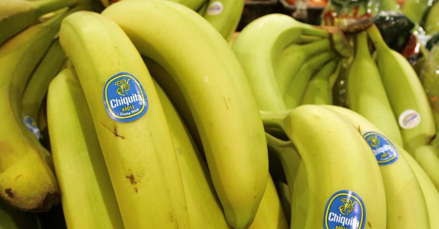 Chiquita Traslada Ejecutivos a Costa Rica por Protestas en Panamá: Impacto y Desafíos en Seguridad Empresarial